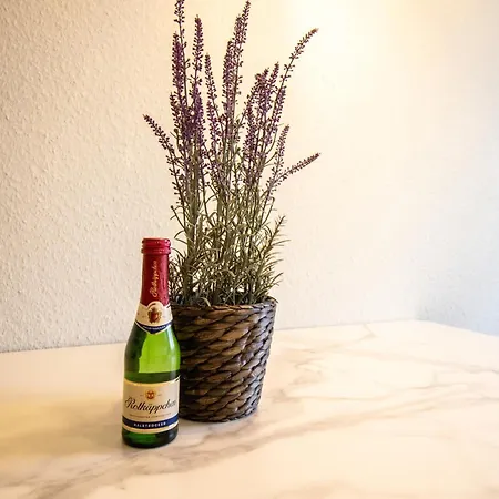 Fuer 5 Gaeste Grosse Kueche Messe- Und Citynah Appartement Hannover